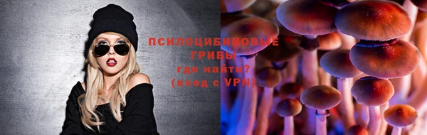 дживик Беломорск