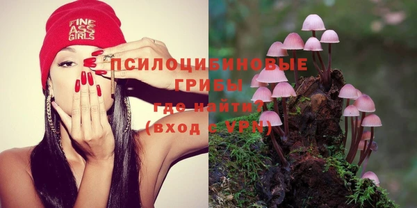 дживик Беломорск